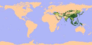 Asia